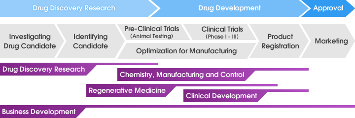 Our Services include all aspects of the Development of New Drugs
